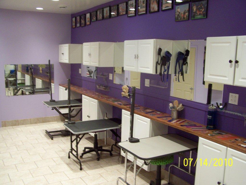 dog grooming facilities